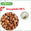 Apricot Kernel Extract amygdalin 98%